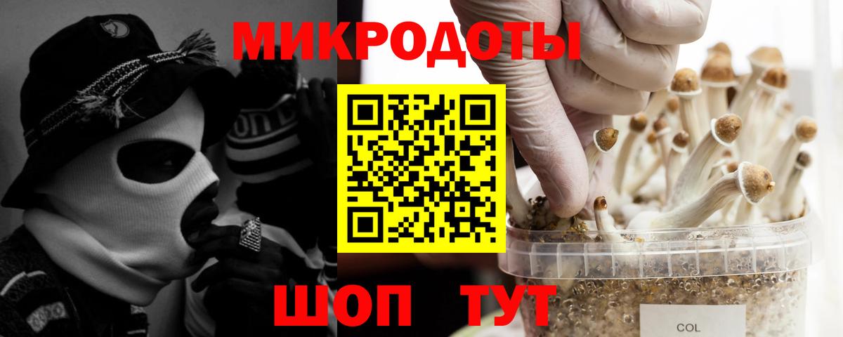 Галлюциногенные грибы мухоморы Волгоград